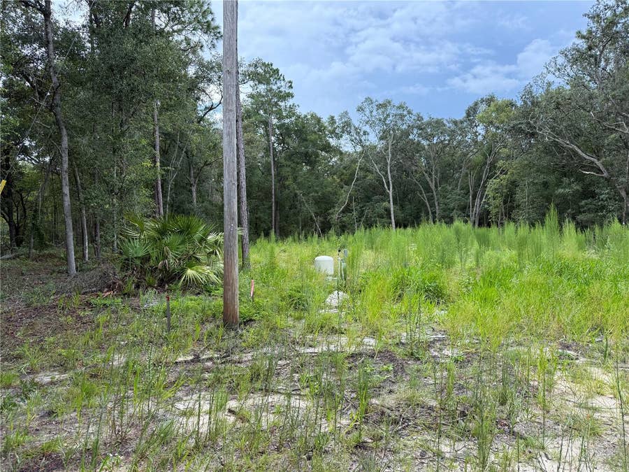 Property photo for 106 JACKSON AVENUE, Interlachen, FL