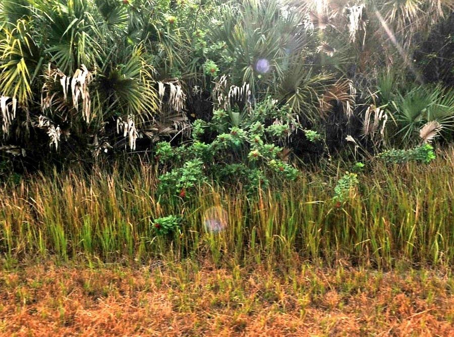 Property photo for SERNICE STREET, North Port, FL