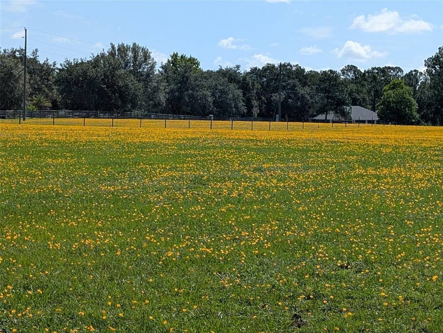 Property photo for GREEN SWAMP ROAD, Clermont, FL