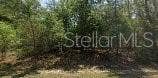 Property photo for 8545 N WALLINGFORD AVENUE, Dunnellon, FL