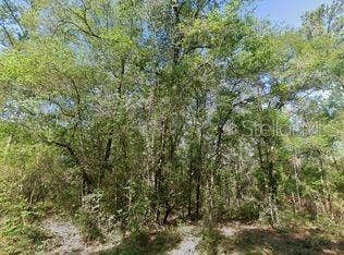 Property photo for 491 E NEMO DRIVE, Dunnellon, FL