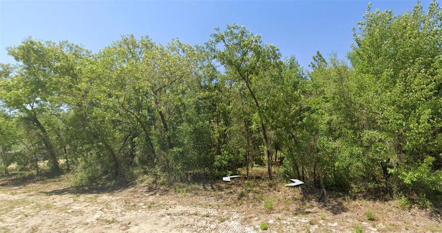 Property photo for RAINBOW LAKES BLVD, Dunnellon, FL