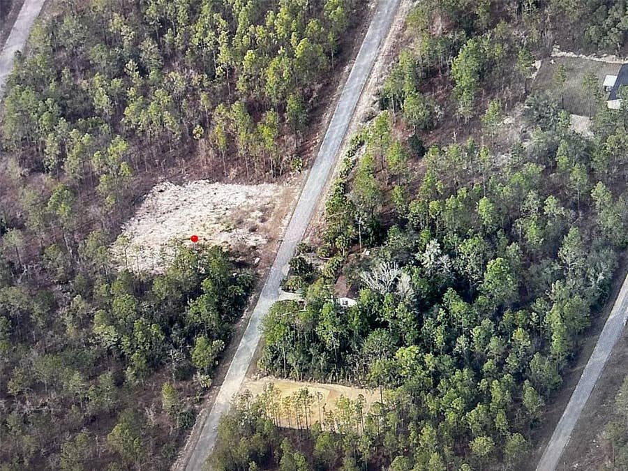 Property photo for NARCISSUS, Dunnellon, FL