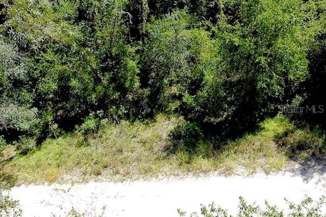 Property photo for 0 NE 138TH TERRACE, Williston, FL