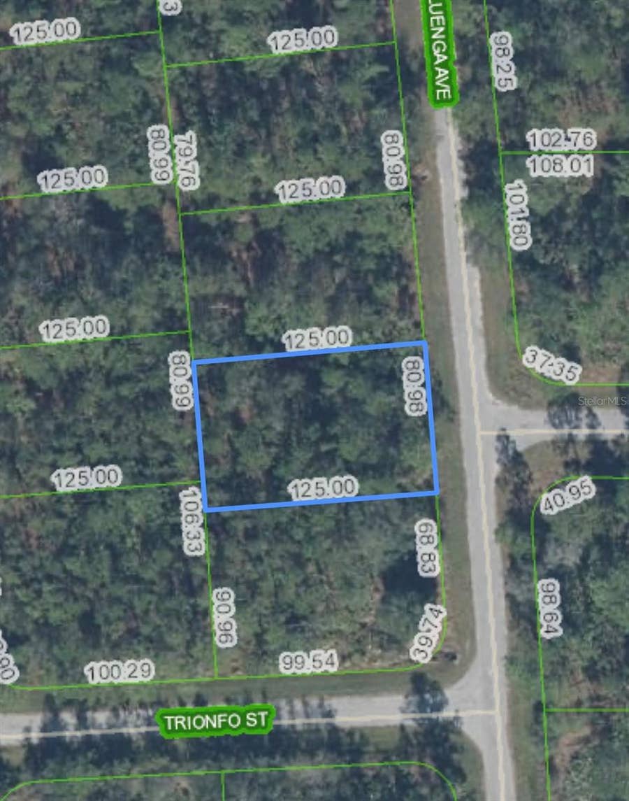 Property photo for 5119 LUENGA AVENUE, Sebring, FL