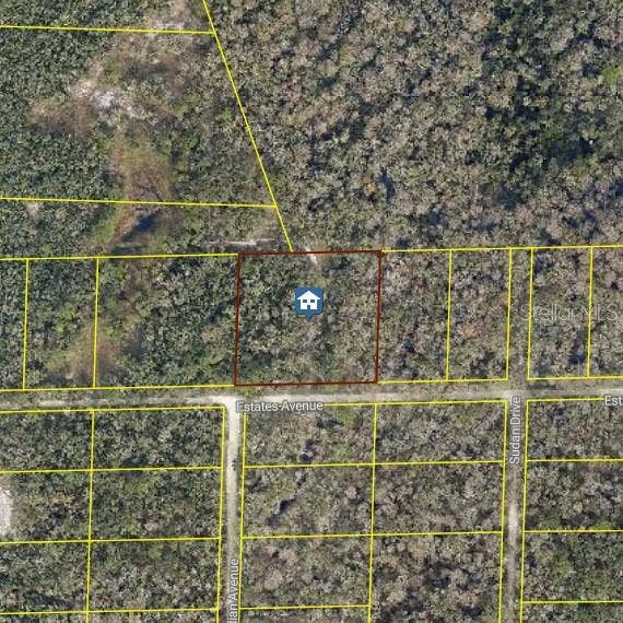 Property photo for ROSE BLOOM AVE, Webster, FL