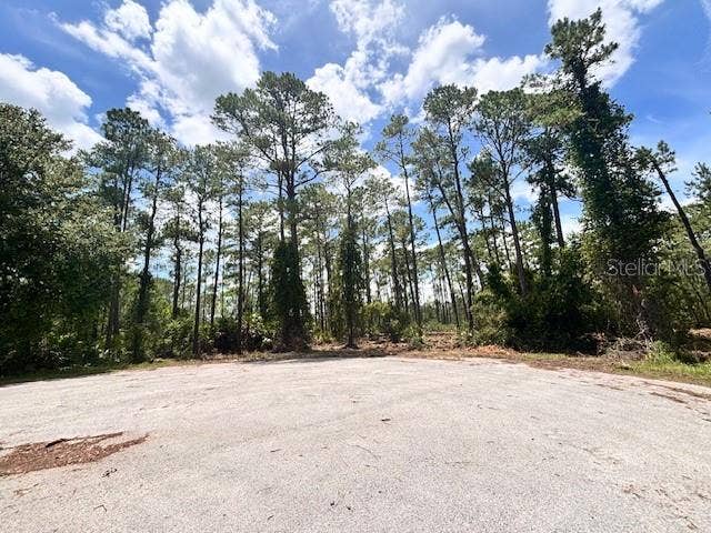 Property photo for CHINABERRY WAY, Eustis, FL