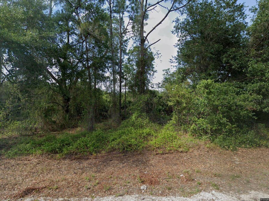 Property photo for 1015 PILGRIM STREET E, Lehigh Acres, FL