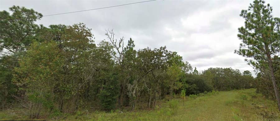 Property photo for NE 151 TERRACE, Williston, FL
