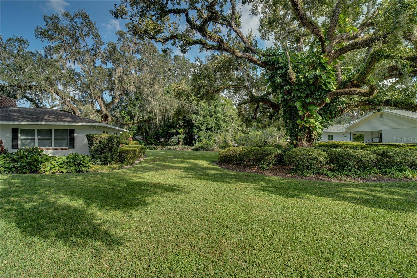 241 N DILLARD STREET, Winter Garden, FL 34787 241 N DILLARD STREET, Winter Garden, FL 34787