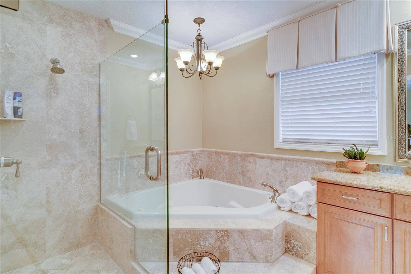 241 N DILLARD STREET, Winter Garden, FL 34787 241 N DILLARD STREET, Winter Garden, FL 34787