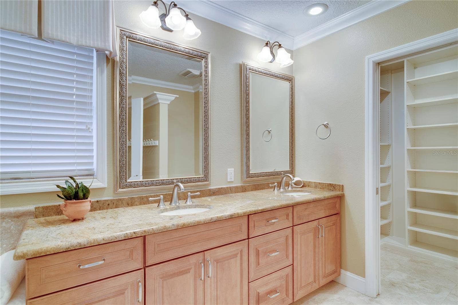 241 N DILLARD STREET, Winter Garden, FL 34787 241 N DILLARD STREET, Winter Garden, FL 34787