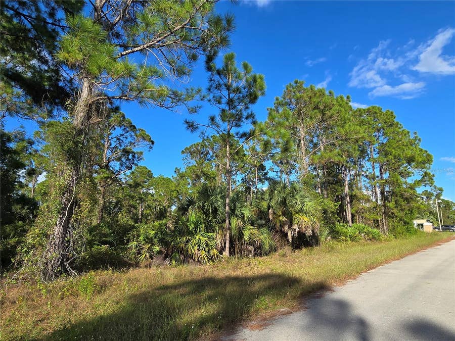 Property photo for 1137 RAMBLER STREET, Lehigh Acres, FL