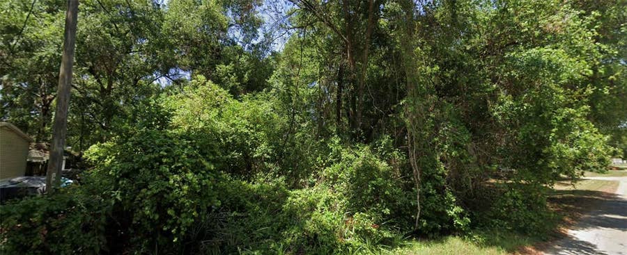 Property photo for SE 144TH LANE, Summerfield, FL