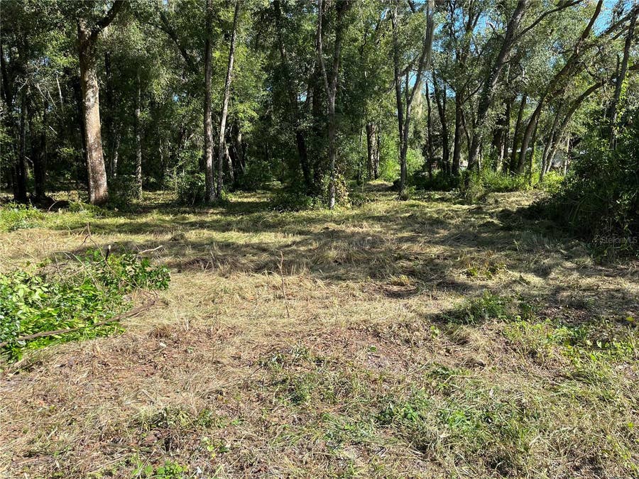 Property photo for 0 SR 575, Dade City, FL