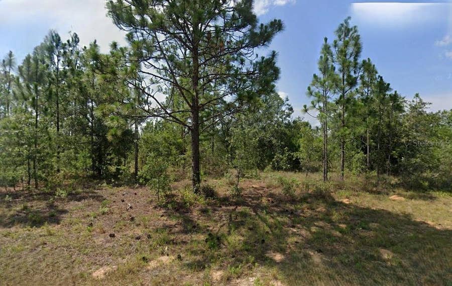 Property photo for DURHAM DRIVE, Chipley, FL