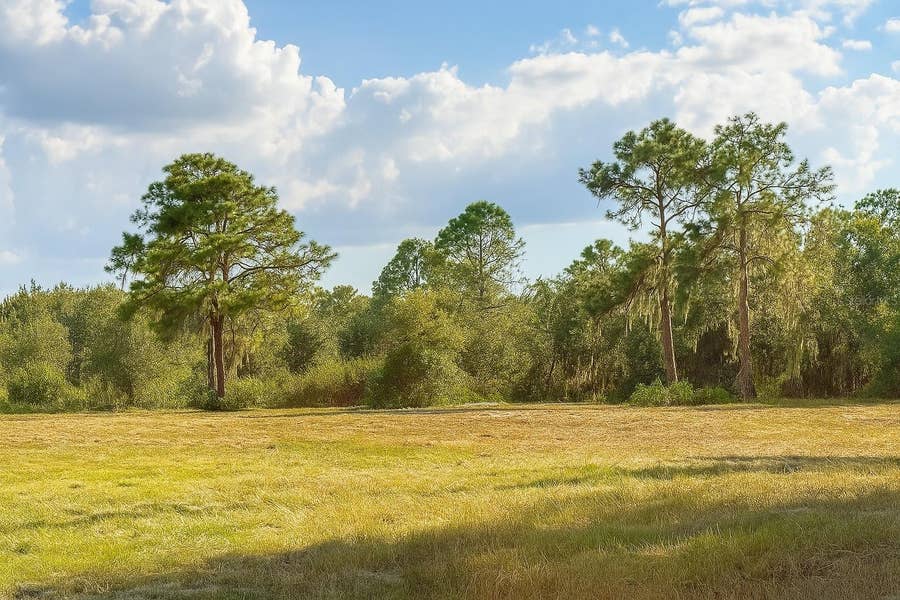 Property photo for 1205-1209 W ALEXANDER STREET, Plant City, FL