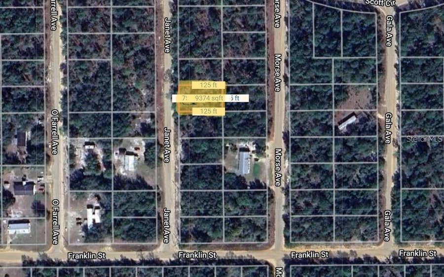 Property photo for 0 JANET AVENUE, Interlachen, FL