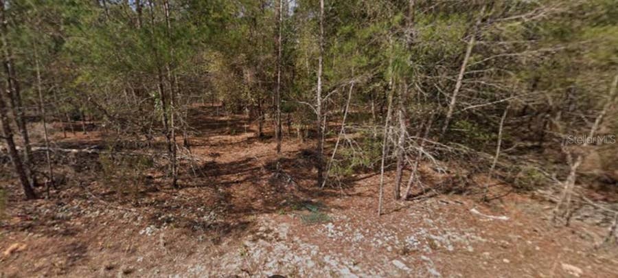 Property photo for SE 5TH AVENUE, Interlachen, FL