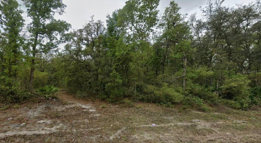 Property photo for HIGHLINE TRAIL, Satsuma, FL