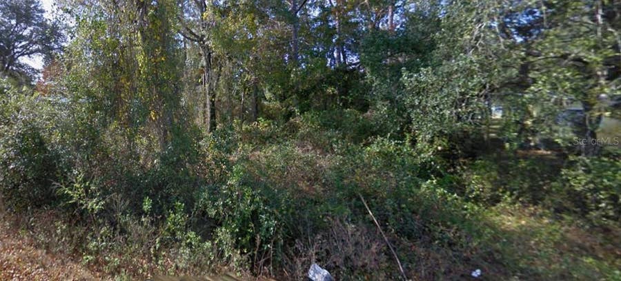 Property photo for SE 172ND AVENUE, Silver Springs, FL