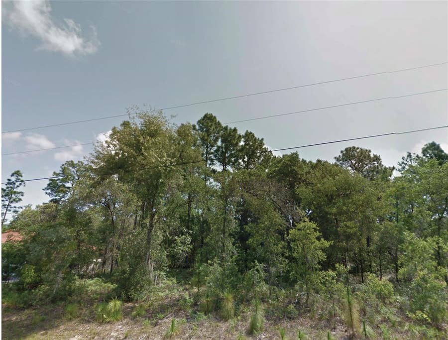 Property photo for 8383 N MANUETTA DRIVE, Citrus Springs, FL