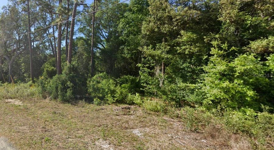 Property photo for SE 17TH LANE, Ocklawaha, FL