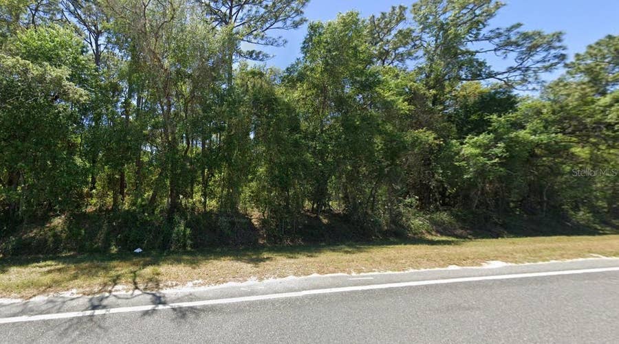Property photo for SE 17TH LANE, Ocklawaha, FL