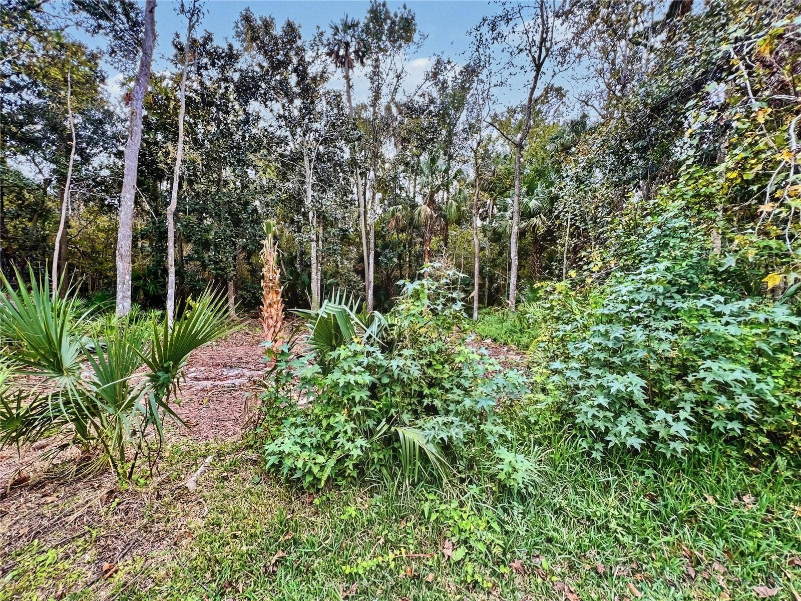 839 LAKE EVALYN DRIVE, Celebration, FL 34747
