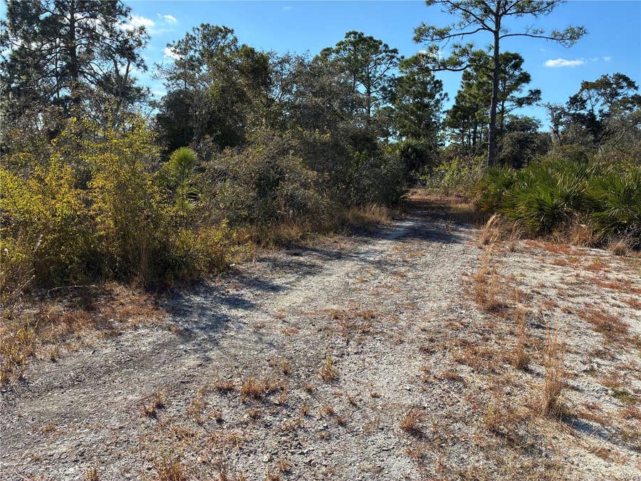 Property photo for 321 SHOWBOAT AVENUE, Lake Placid, FL