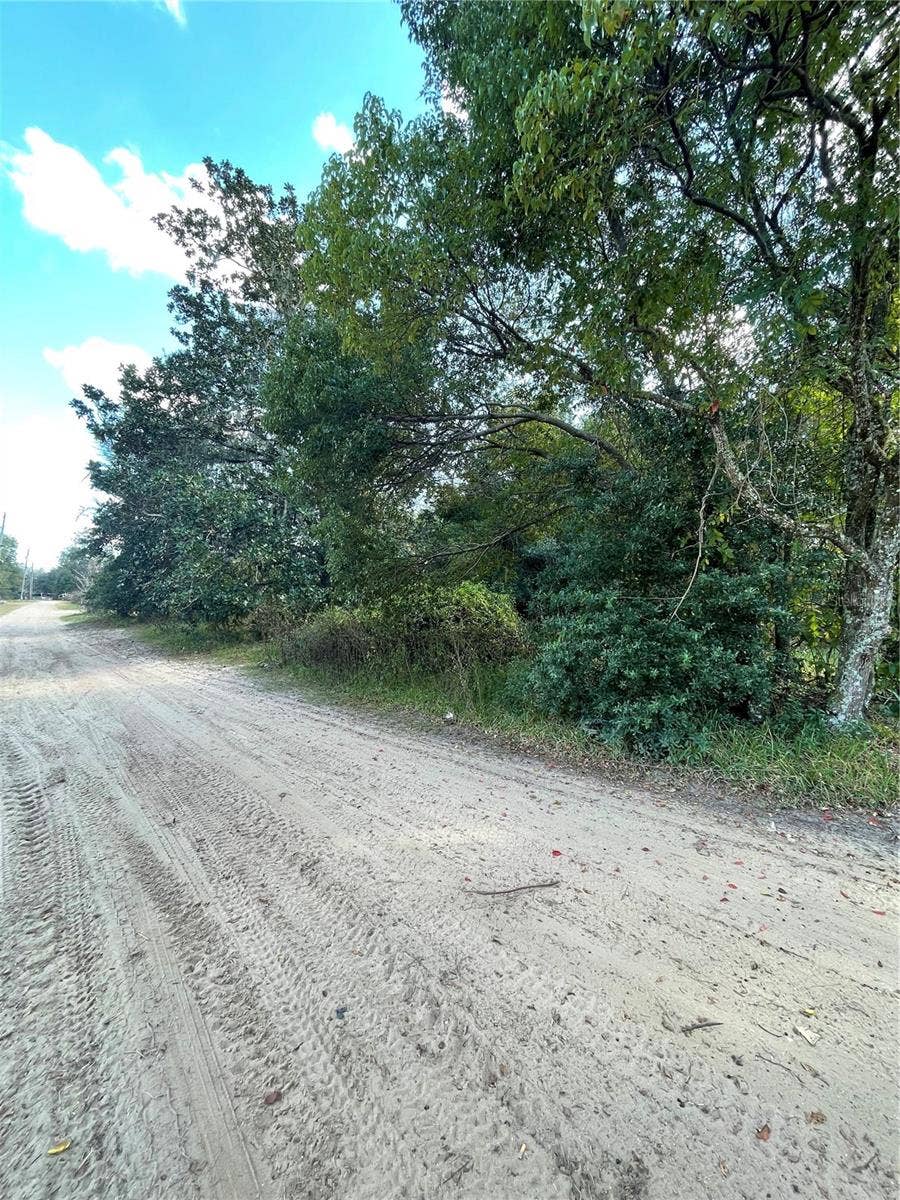 Property photo for 20180 SE 141ST STREET, Umatilla, FL