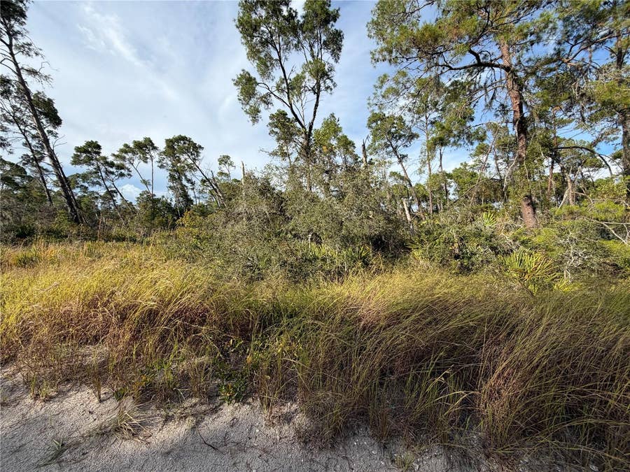 Property photo for 478 DARTER AVENUE, Sebring, FL