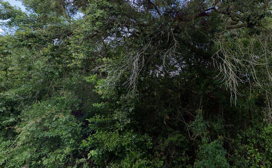 Property photo for 3288/3302 E ALISA LANE, Inverness, FL