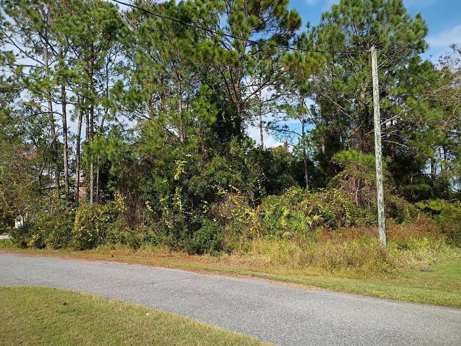 Property photo for 36 BUFFALO MEADOW LN, Palm Coast, FL
