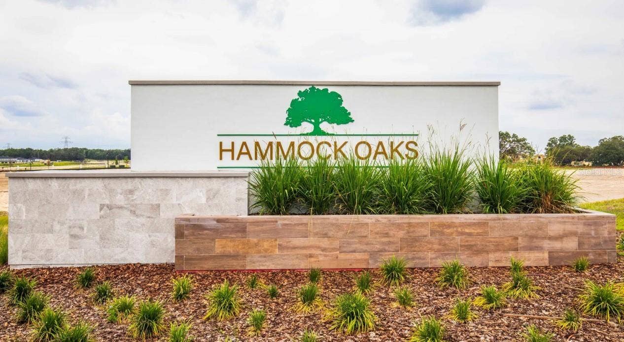 930 BUCKEYE DRIVE, Lady Lake, FL 32159 Community Entrance