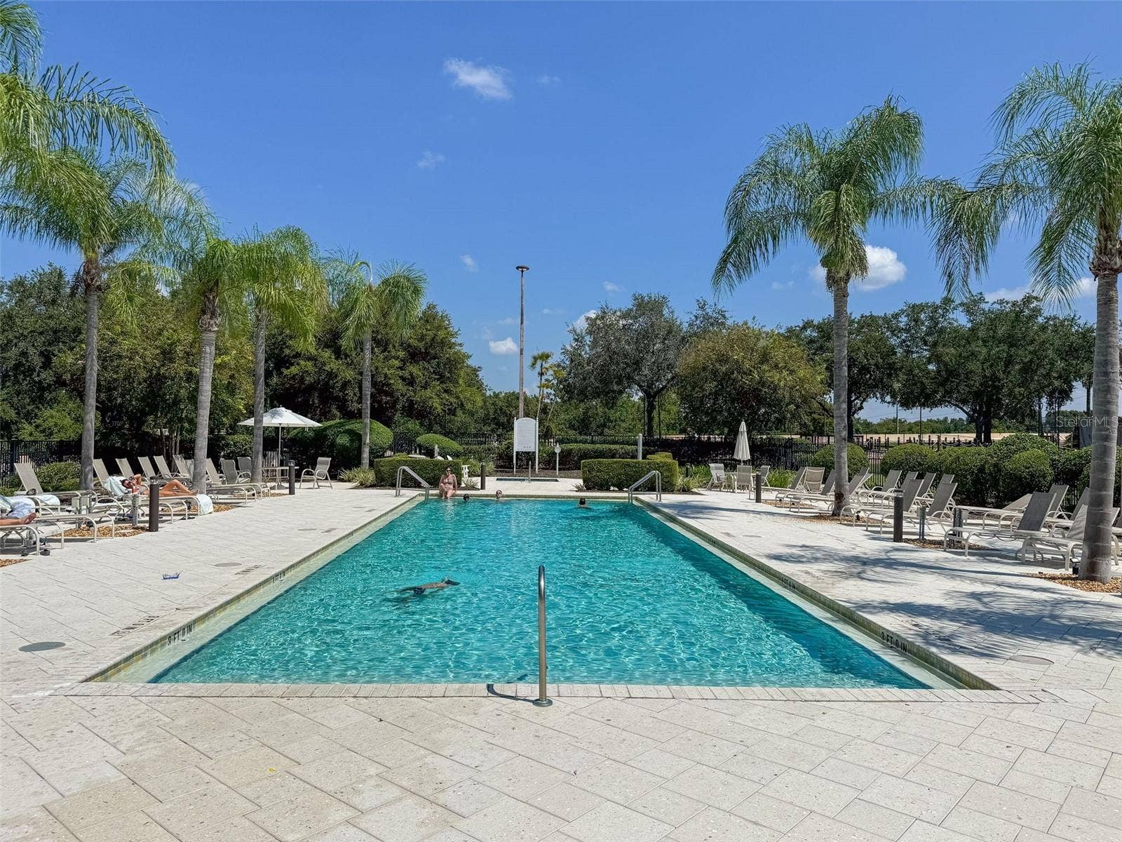 811 ASSEMBLY COURT, Reunion, FL 34747 811 ASSEMBLY COURT, Reunion, FL 34747