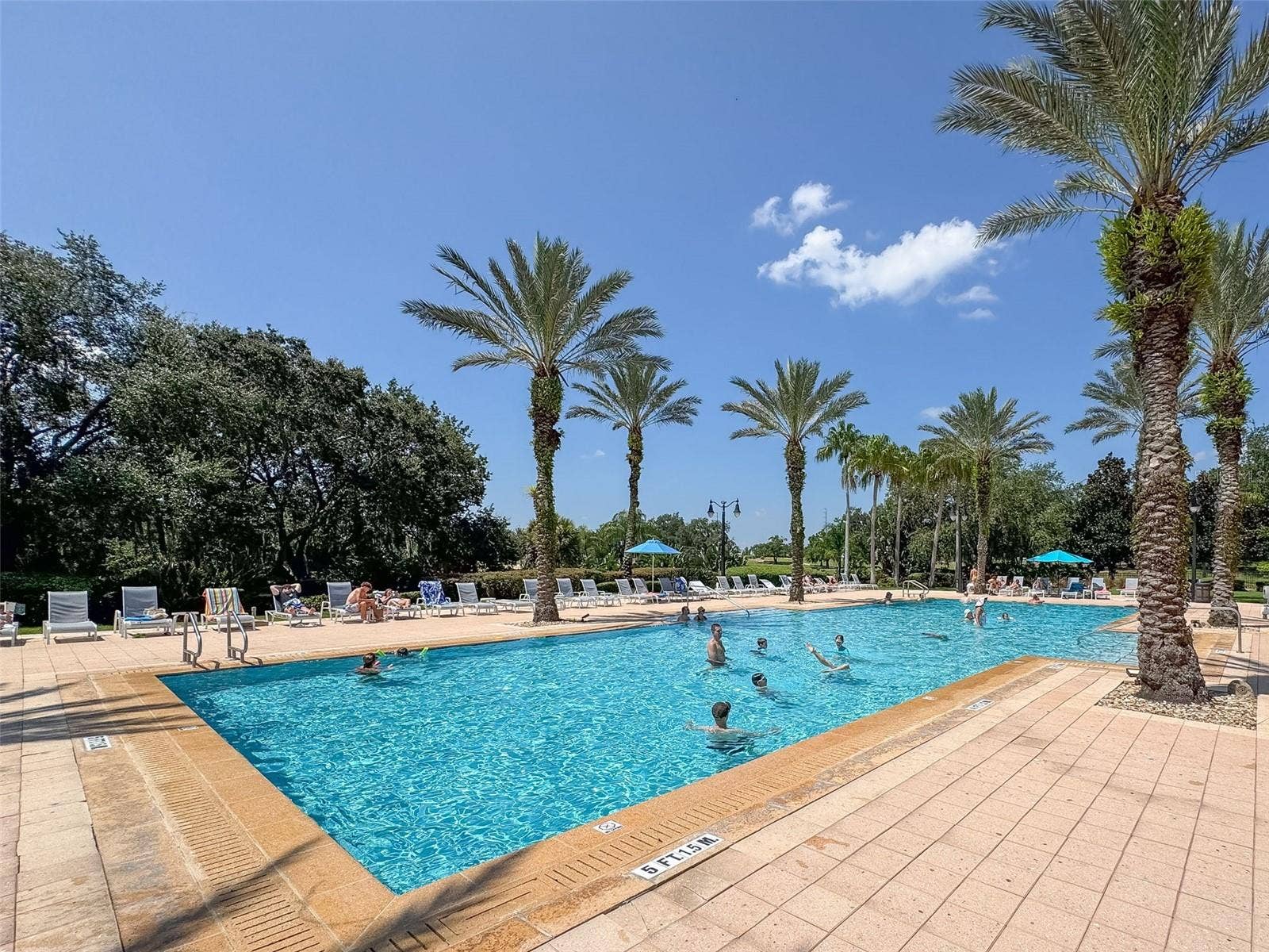 811 ASSEMBLY COURT, Reunion, FL 34747 811 ASSEMBLY COURT, Reunion, FL 34747