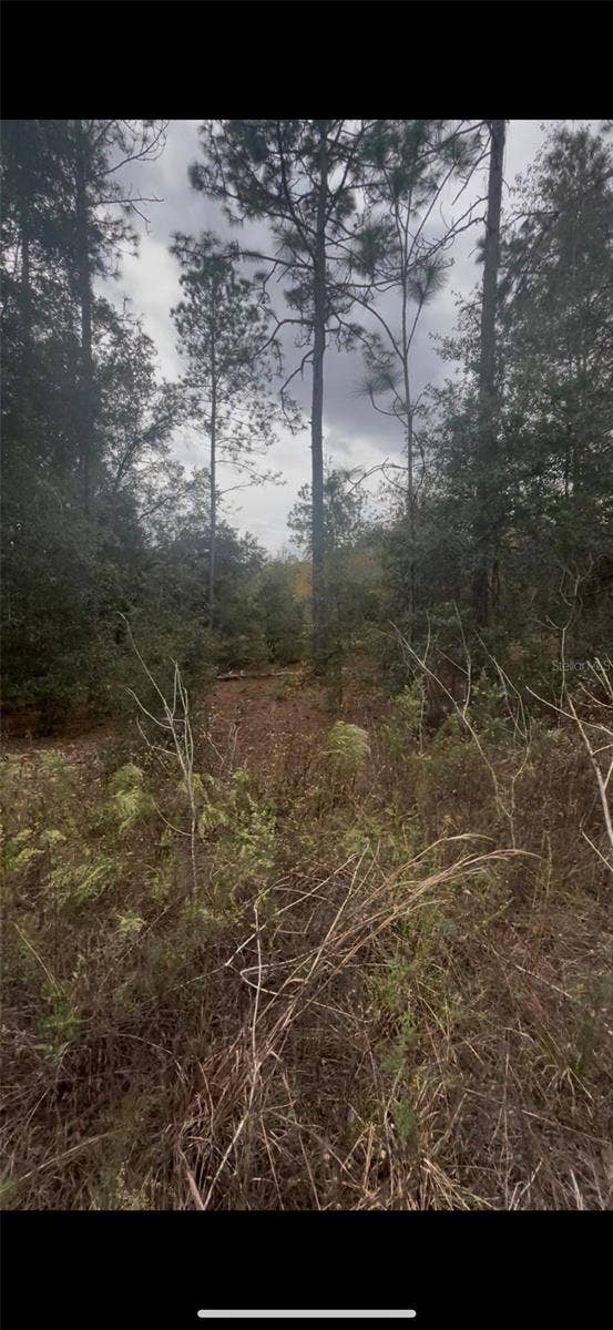 Property photo for 0 SW 21 PLACE, Ocala, FL