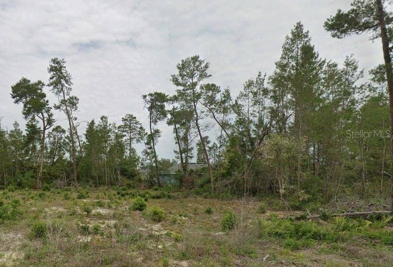Property photo for TBD SW 30TH AVE RD, Ocala, FL