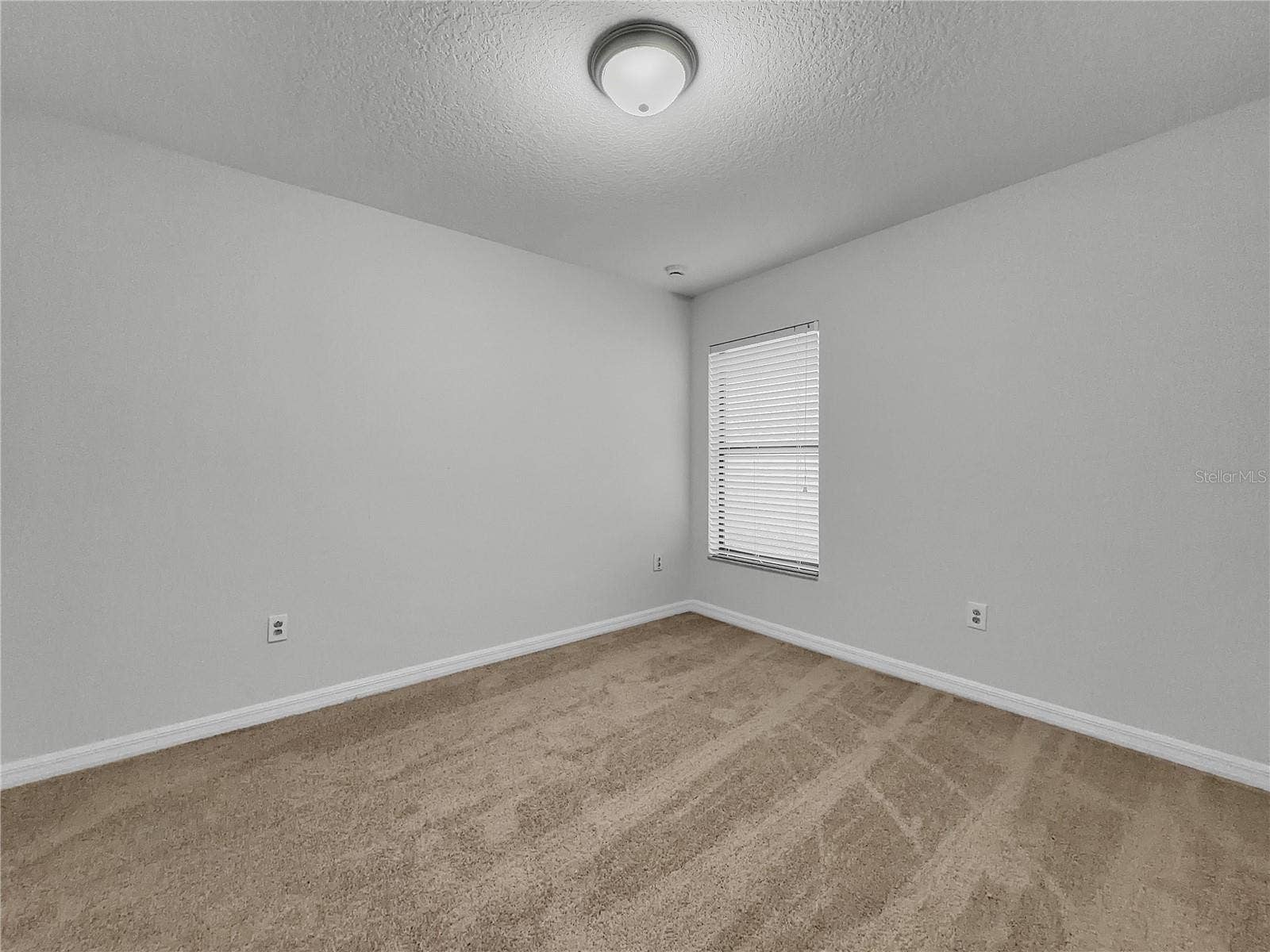 10113 ROSEMARY LEAF LANE, Riverview, FL 33578