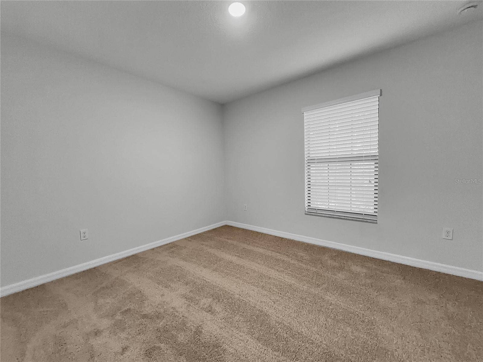 10113 ROSEMARY LEAF LANE, Riverview, FL 33578