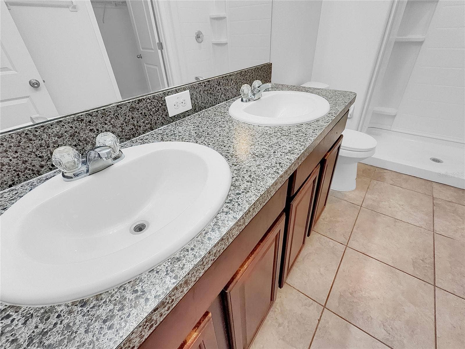 10113 ROSEMARY LEAF LANE, Riverview, FL 33578