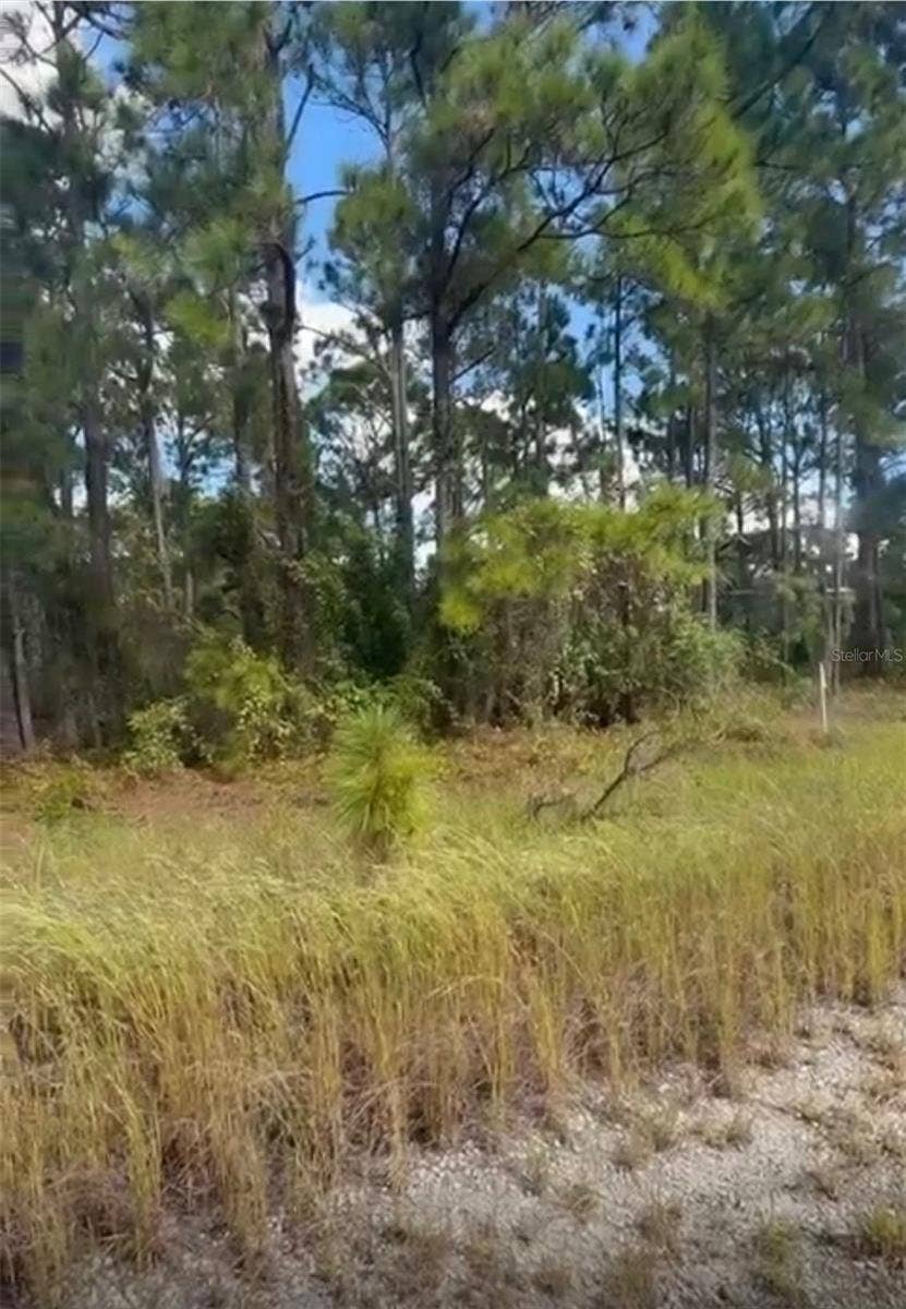 Property photo for 334 SUN COURT, Lake Placid, FL