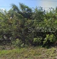 Property photo for 886 BITLIS STREET SW, Palm Bay, FL
