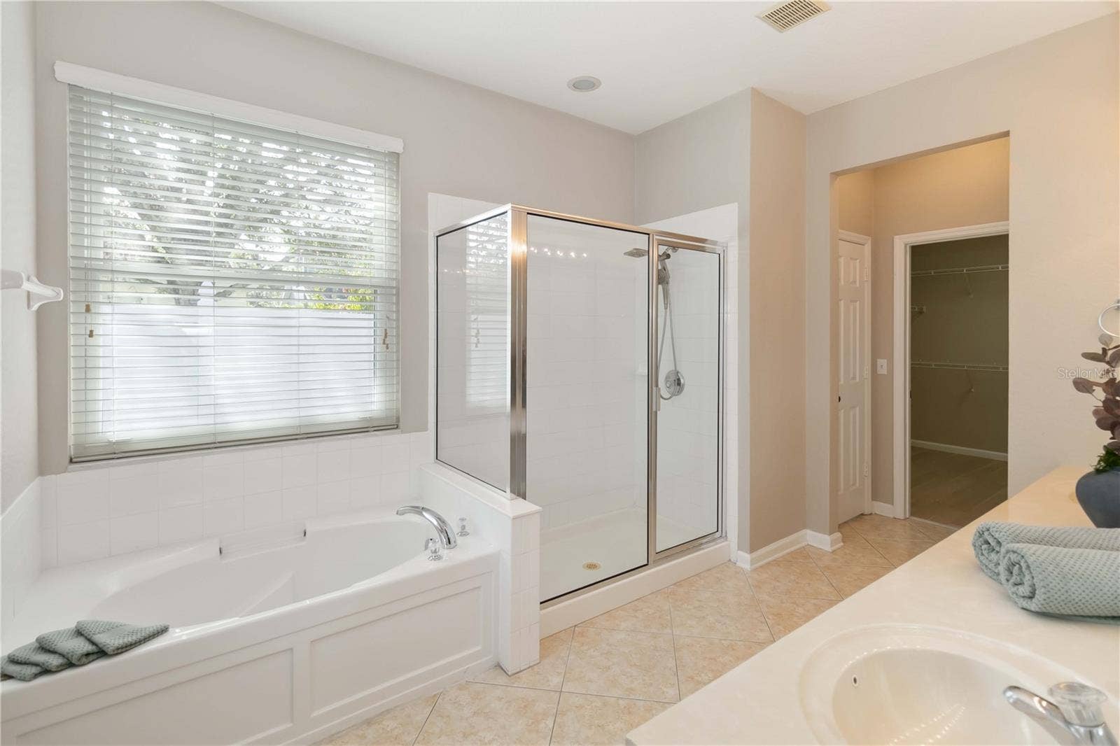 13519 BICTON LANE, Windermere, FL 34786 Primary Bathroom