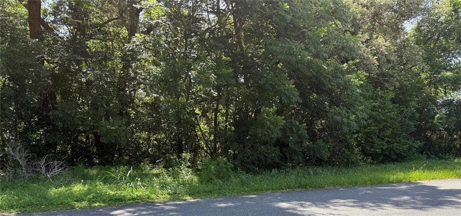 Property photo for HUTCHINSON WAY, Lady Lake, FL