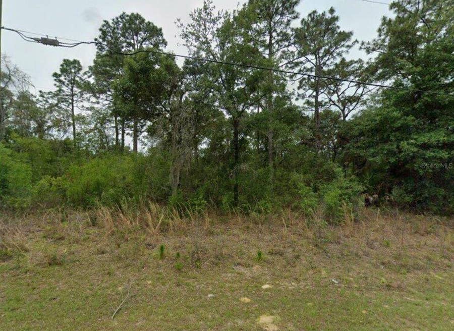 Property photo for 2338 W RILEY DRIVE, Citrus Springs, FL