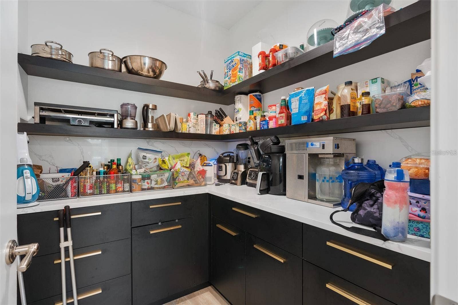 4509 PATRICIA ANN COURT, Orlando, FL 32839 Pantry