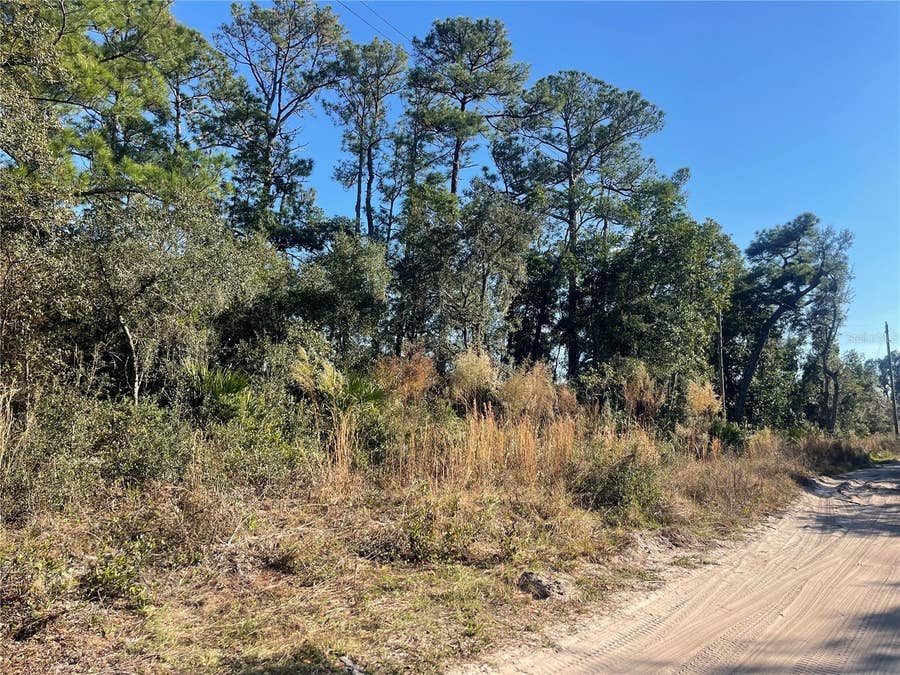 Property photo for ROSE BUD DRIVE, Deland, FL