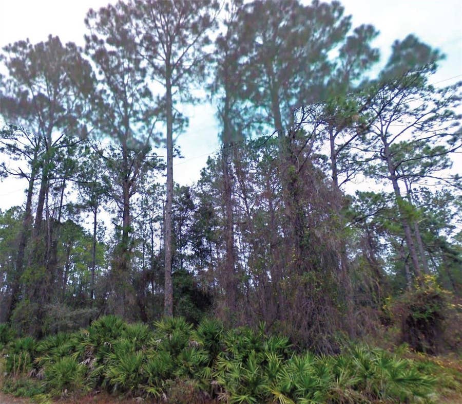 Property photo for NE 66TH AVENUE, Citra, FL
